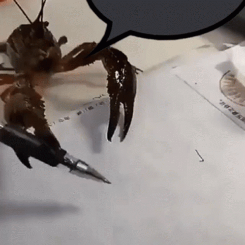 A Crab Is Writing On A Piece Of Paper With A Pen .. GIF