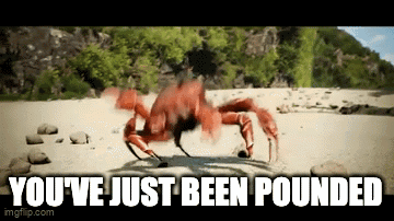 A Crab On A Beach With The Words " You 'Ve Just Been Pounded " GIF