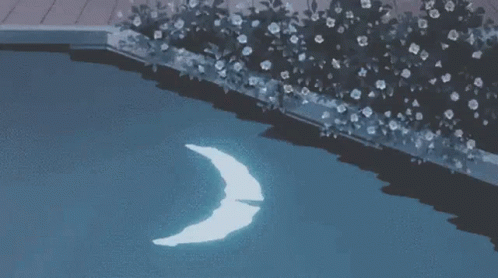 A Crescent Moon Is Floating In A Swimming Pool At Night . GIF