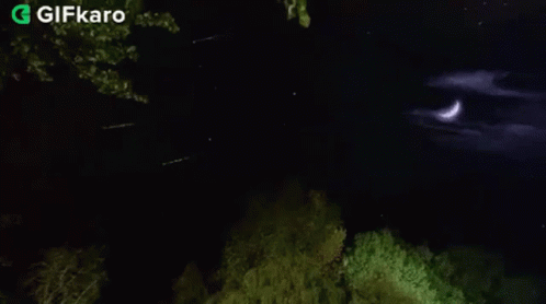 A Crescent Moon Is Visible In The Night Sky Over A Forest GIF