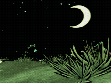 A Crescent Moon Rises Over A Field Of Grass GIF