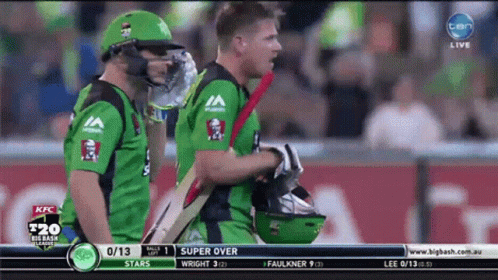 A Cricket Game Is Being Played On A Screen That Says Ten GIF