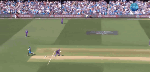 A Cricket Game Is Being Played On Ten Hd GIF