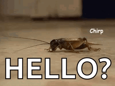 A Cricket Is Crawling On A Wooden Floor With The Words `` Hello ? '' Above It . GIF