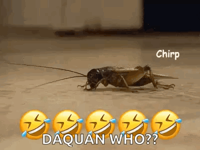 A Cricket Is Crawling On The Floor With Smiley Faces Around It . GIF