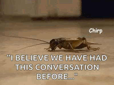 A Cricket Is Crawling On The Floor With The Words `` I Believe We Have Had This Conversation Before ... '' GIF