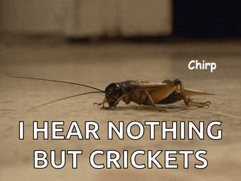 A Cricket Is Crawling On The Ground Next To A Caption That Says I Hear Nothing But Crickets GIF