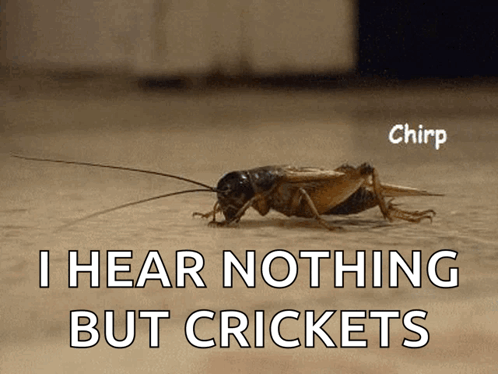 A Cricket Is Crawling On The Ground With The Words I Hear Nothing But Crickets Below It GIF