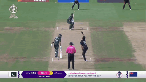 A Cricket Match Between Pakistan And New Zealand Is Being Played GIF