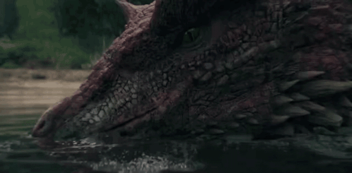 A Crocodile Is Swimming In A Body Of Water . GIF
