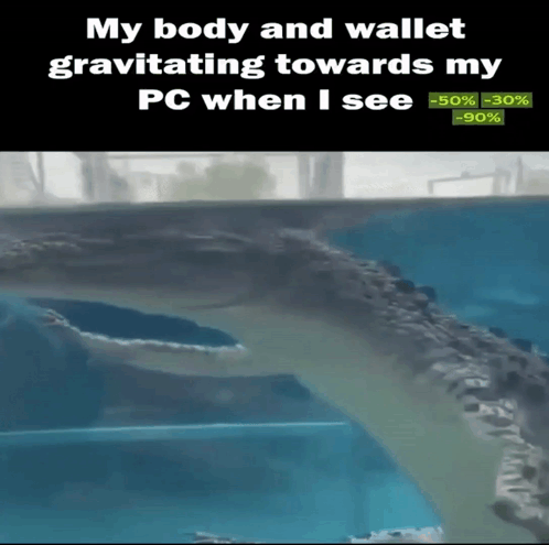 A Crocodile Is Swimming In A Tank With A Caption That Says My Body And Wallet Gravitating Towards My Pc GIF