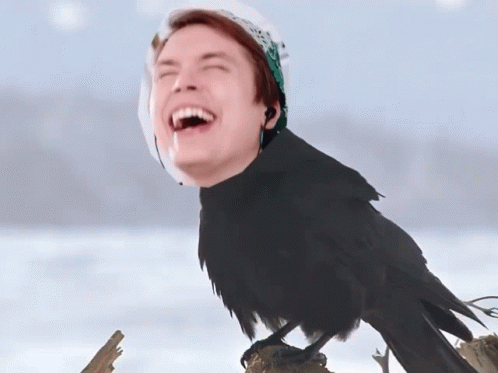 A Crow With A Man 'S Face On Its Head GIF