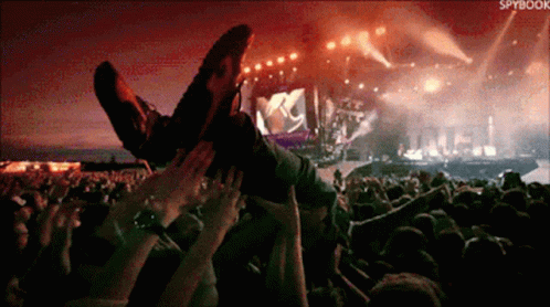 A Crowd At A Concert With The Word Spybook In The Corner GIF