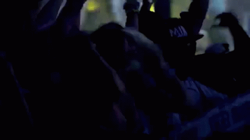 A Crowd Of People Are Dancing At A Concert And Their Hands Are In The Air . GIF