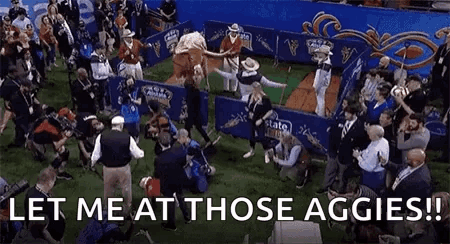 A Crowd Of People Are Gathered Around A Bull On A Field . GIF