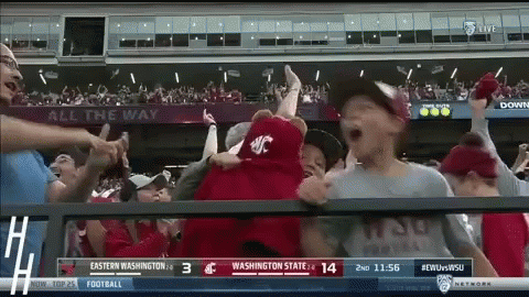 a crowd of people are watching a football game between washington state and eastern washington state