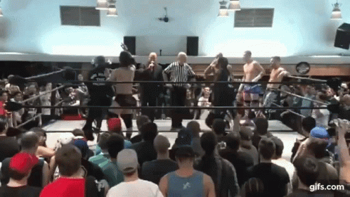 Crowd Watching Wrestling Match In Ring GIF