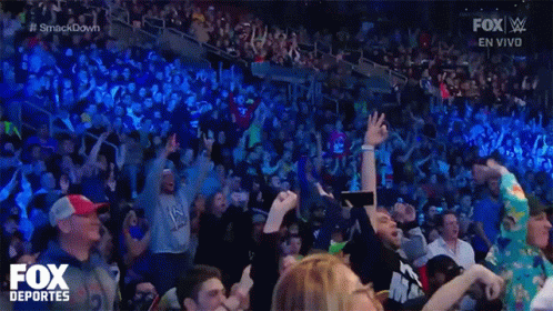 A Crowd Of People Are Watching A Wrestling Match On Fox Sports GIF