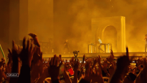 A Crowd Of People At A Concert With A Caption That Says " Cancella " GIF