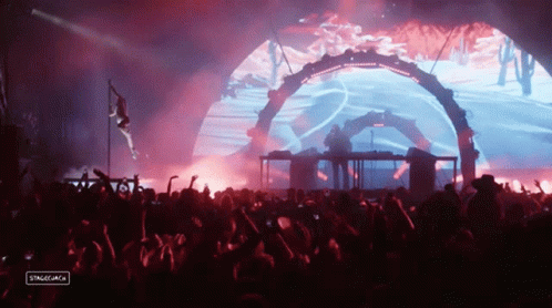 A Crowd Of People At A Concert With A Sign That Says Stagemagic On It GIF