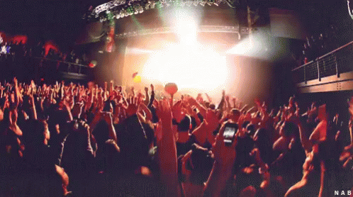 A Crowd Of People At A Concert With The Name Nab On The Bottom Right GIF