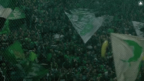 A Crowd Of People Behind A Fence With A Green Flag In The Foreground That Says Deusexboreae GIF
