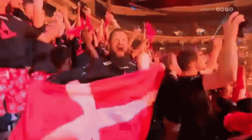 A Crowd Of People Holding A Red And White Flag In A Stadium . GIF