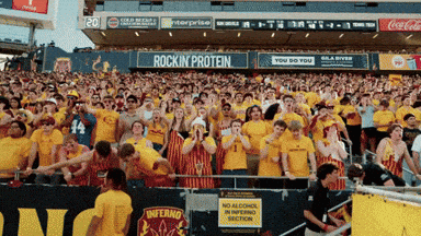 a crowd of people in a stadium with an advertisement for rockin protein
