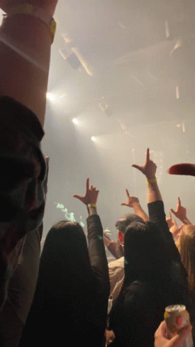 A Crowd Of People Raising Their Hands In The Air At A Concert GIF
