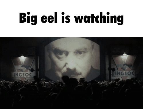 A Crowd Of People Watching A Man 'S Face On A Screen With The Words Big Eel Is Watching GIF