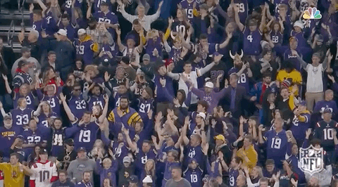 a crowd of people wearing vikings jerseys are watching a football game