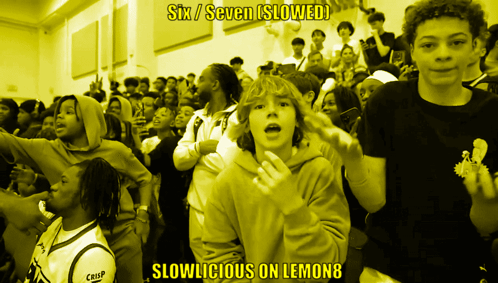 A Crowd Of People With The Words Six / Seven ( Slowed ) Slowlicious On Lemon8 Below Them GIF