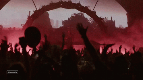 A Crowd Of People With Their Hands In The Air And A Sign That Says Stagemac GIF