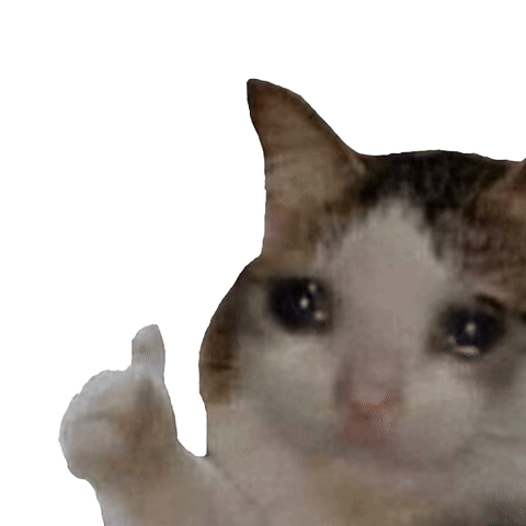 A Crying Cat Is Giving A Thumbs Up GIF