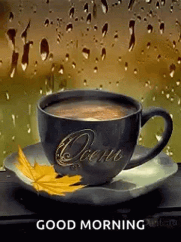 A Cup Of Coffee On A Saucer In Front Of A Window With Rain Drops On It . GIF