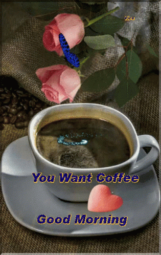 A Cup Of Coffee On A Saucer With The Words " You Want Coffee Good Morning " GIF