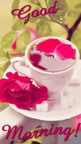 A Cup Of Coffee With A Red Rose On A Saucer And The Words Good Morning GIF