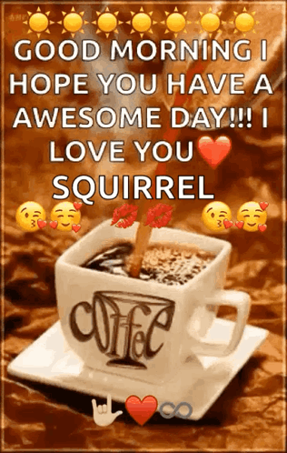 A Cup Of Coffee With The Words `` Good Morning I Hope You Have A Awesome Day !! I Love You Squirrel '' On It GIF