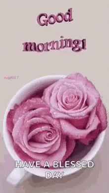 A Cup Of Pink Roses With The Words `` Good Morning ! Have A Blessed Day '' . GIF