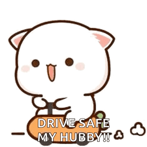 A Cute Cartoon Cat Is Sitting On A Pumpkin And Says `` Drive Safe My Hubby '' . GIF
