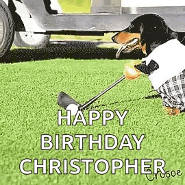 a dachshund is holding a golf club in its mouth while wearing a plaid shirt .