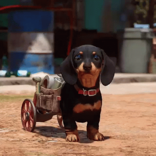 A Dachshund Is Pushing A Wheelchair On A Dirt Road GIF