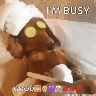 A Dachshund Wearing A Towel And Cucumber Slices On Its Eyes Is Laying In A Bathtub . GIF
