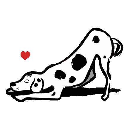 a dalmatian dog is doing a yoga pose with two red hearts behind it