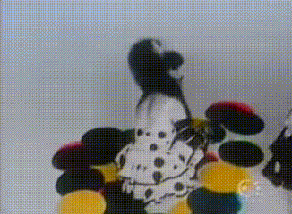 a dalmatian is standing in front of a bunch of colorful balls