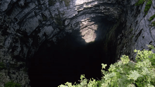 A Dark Cave With A Few Trees In The Foreground GIF