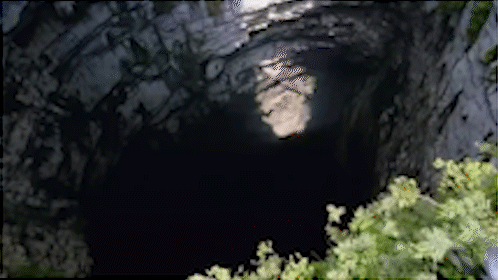 A Dark Cave With A Tree In The Foreground And A Light Coming Out Of It GIF