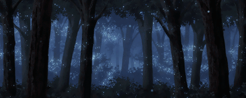 A Dark Forest With A Lot Of Trees And Lights GIF