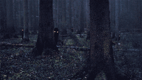 A Dark Forest With Trees And Leaves And A Person With Glowing Eyes GIF