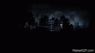 A Dark Forest With Trees Silhouetted Against A Dark Cloudy Sky GIF